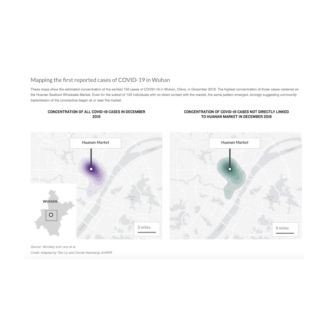 NPR: Newly published evidence points to Wuhan seafood market as pandemic origin point